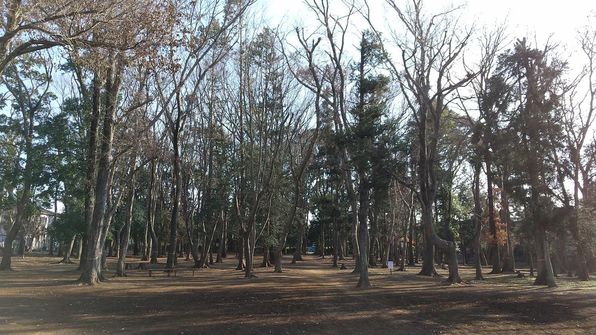 f:id:genta-san:20210118184334j:plain