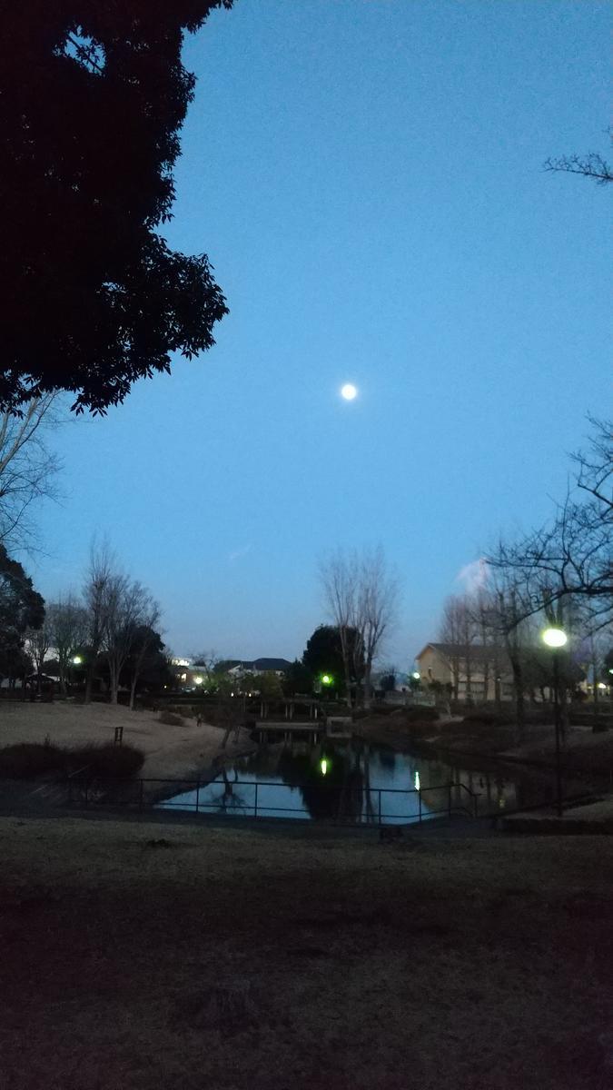 f:id:genta-san:20210128124008j:plain