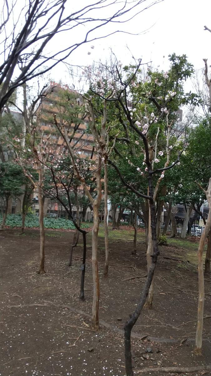 f:id:genta-san:20210308164723j:plain