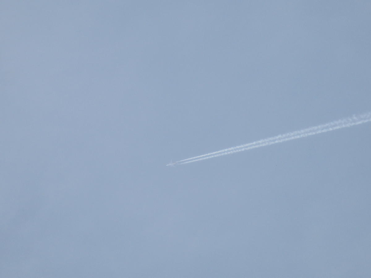 f:id:genta-san:20210320113010j:plain