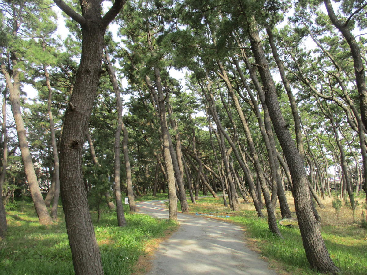 f:id:genta-san:20210320113227j:plain