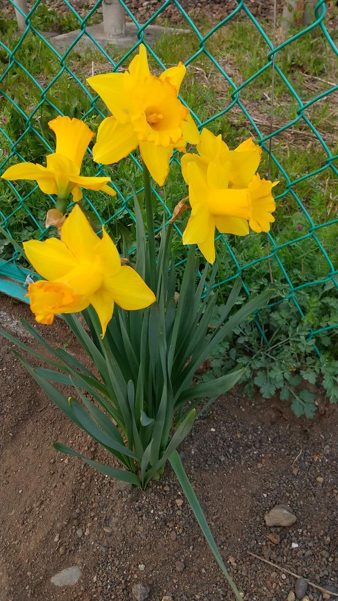 f:id:genta-san:20210320121507j:plain