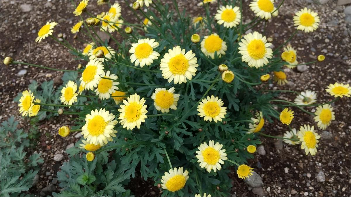 f:id:genta-san:20210320121532j:plain