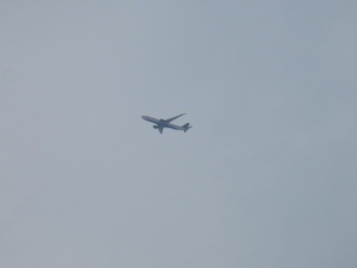 f:id:genta-san:20210327205411j:plain