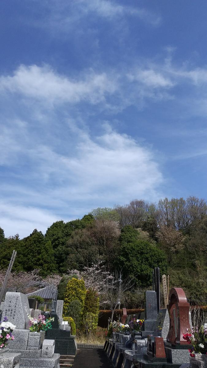 f:id:genta-san:20210329133137j:plain