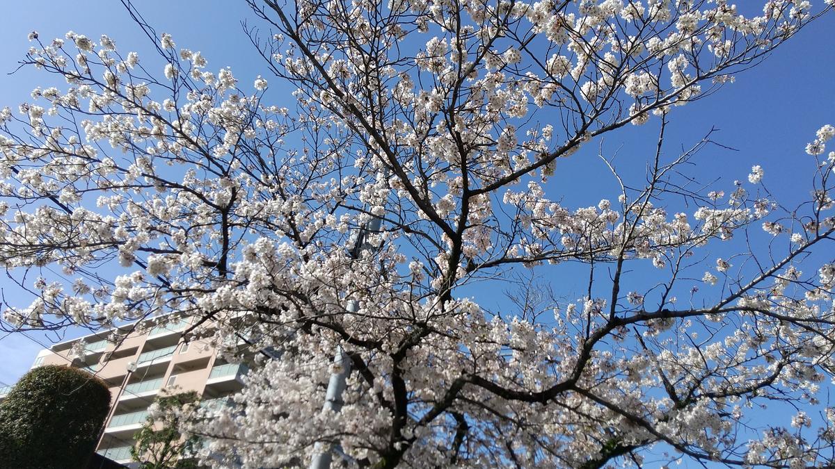 f:id:genta-san:20210329133309j:plain
