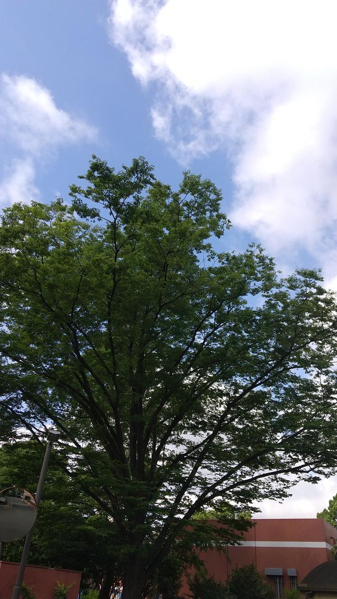 f:id:genta-san:20210601232145j:plain