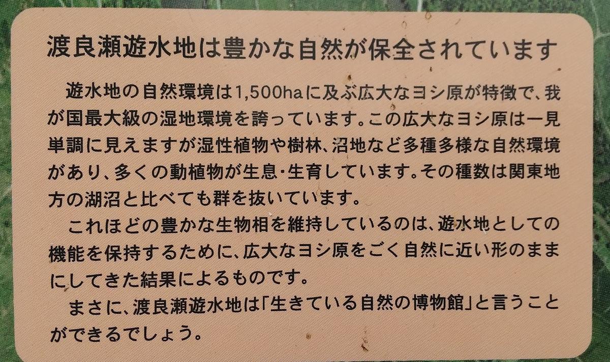 f:id:genta-san:20210605160324j:plain