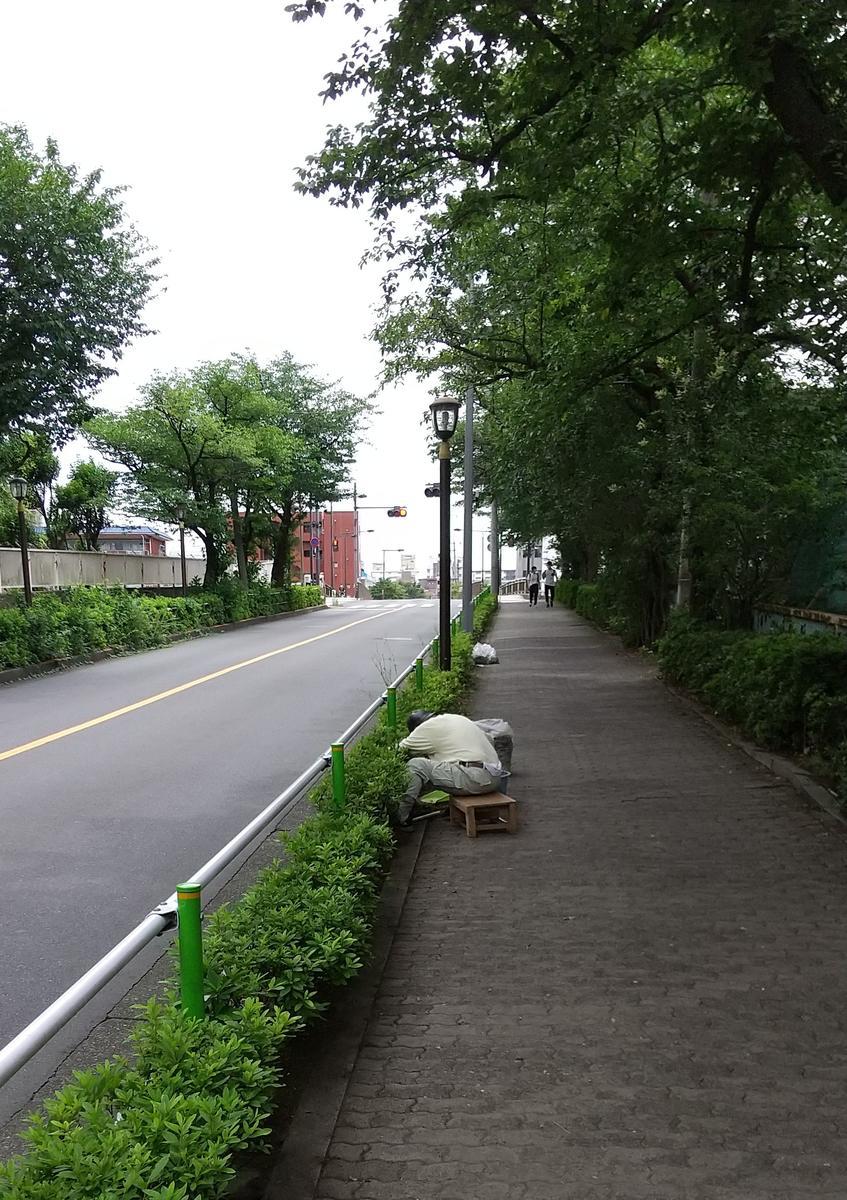 f:id:genta-san:20210626144406j:plain