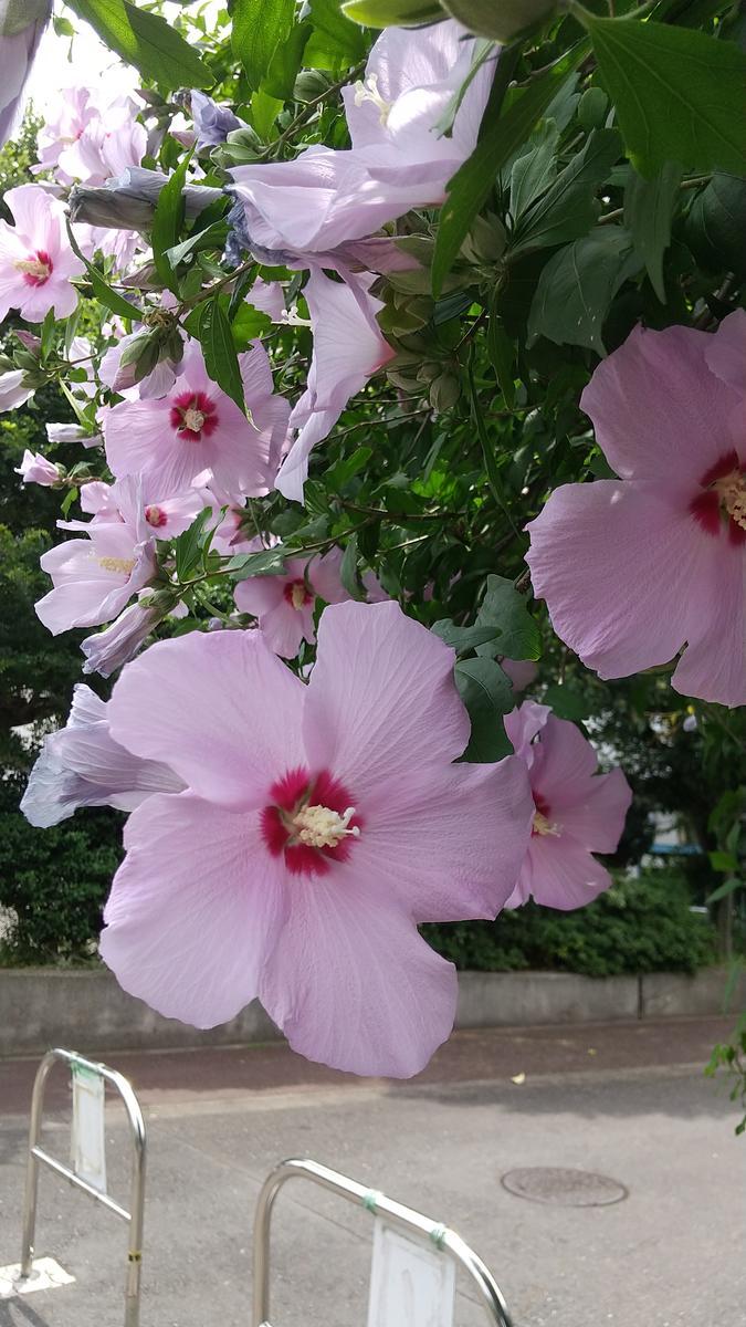 f:id:genta-san:20210626145140j:plain