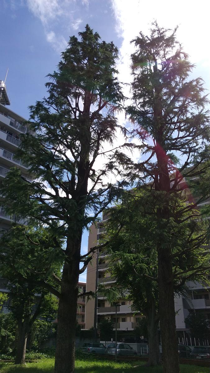 f:id:genta-san:20210710095613j:plain