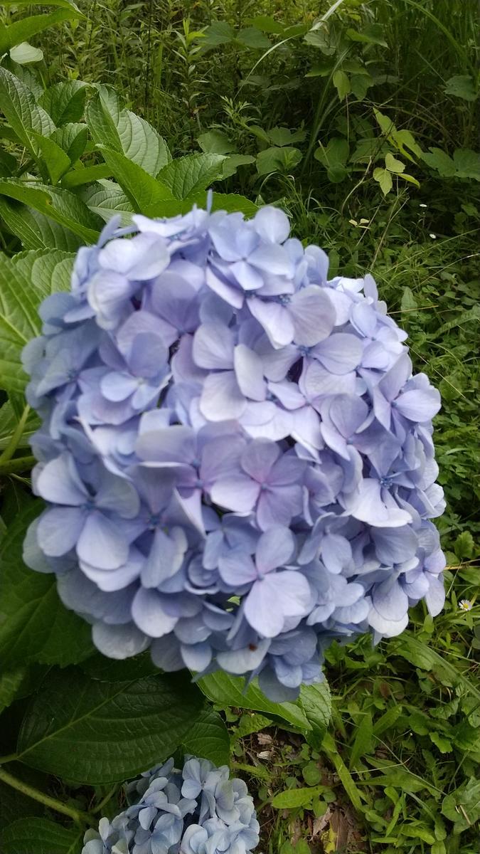 f:id:genta-san:20210713165250j:plain