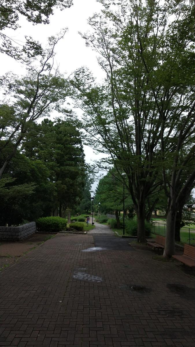 f:id:genta-san:20210713165402j:plain