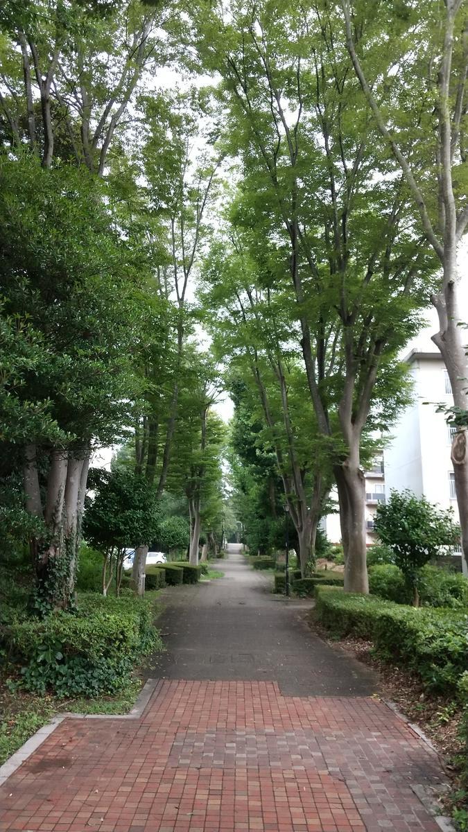 f:id:genta-san:20210713165513j:plain
