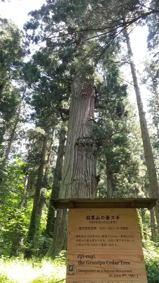 f:id:genta-san:20210730164536j:plain