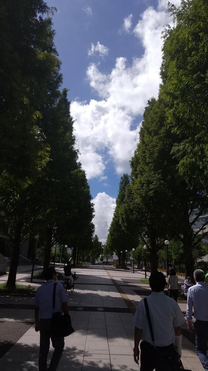 f:id:genta-san:20210803172954j:plain