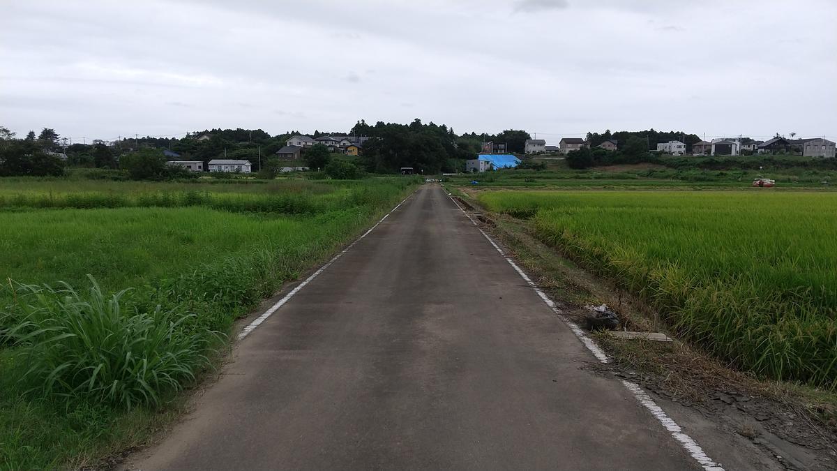 f:id:genta-san:20210914172231j:plain