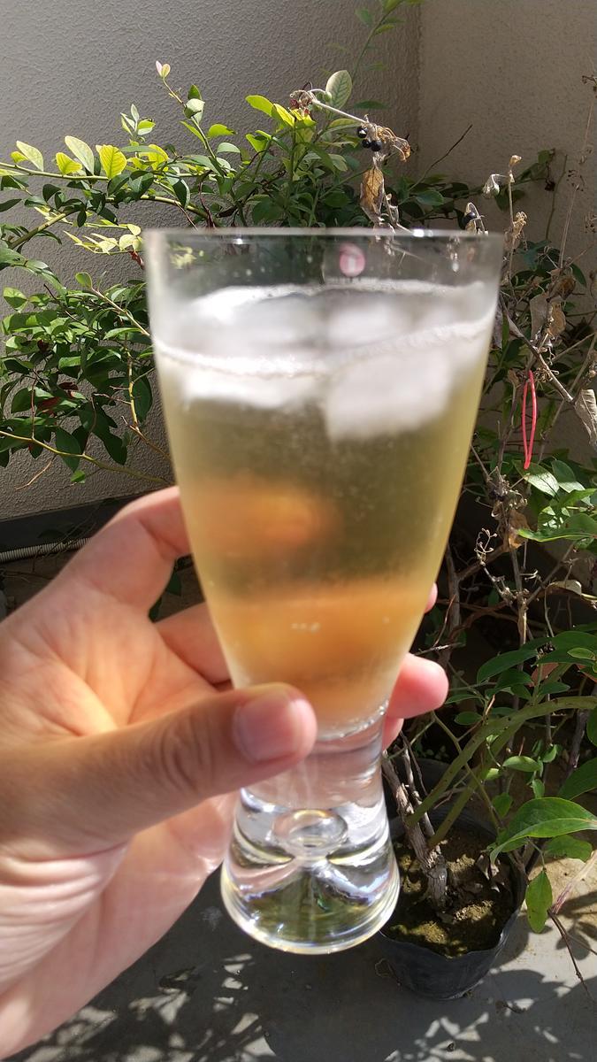 f:id:genta-san:20211009115940j:plain
