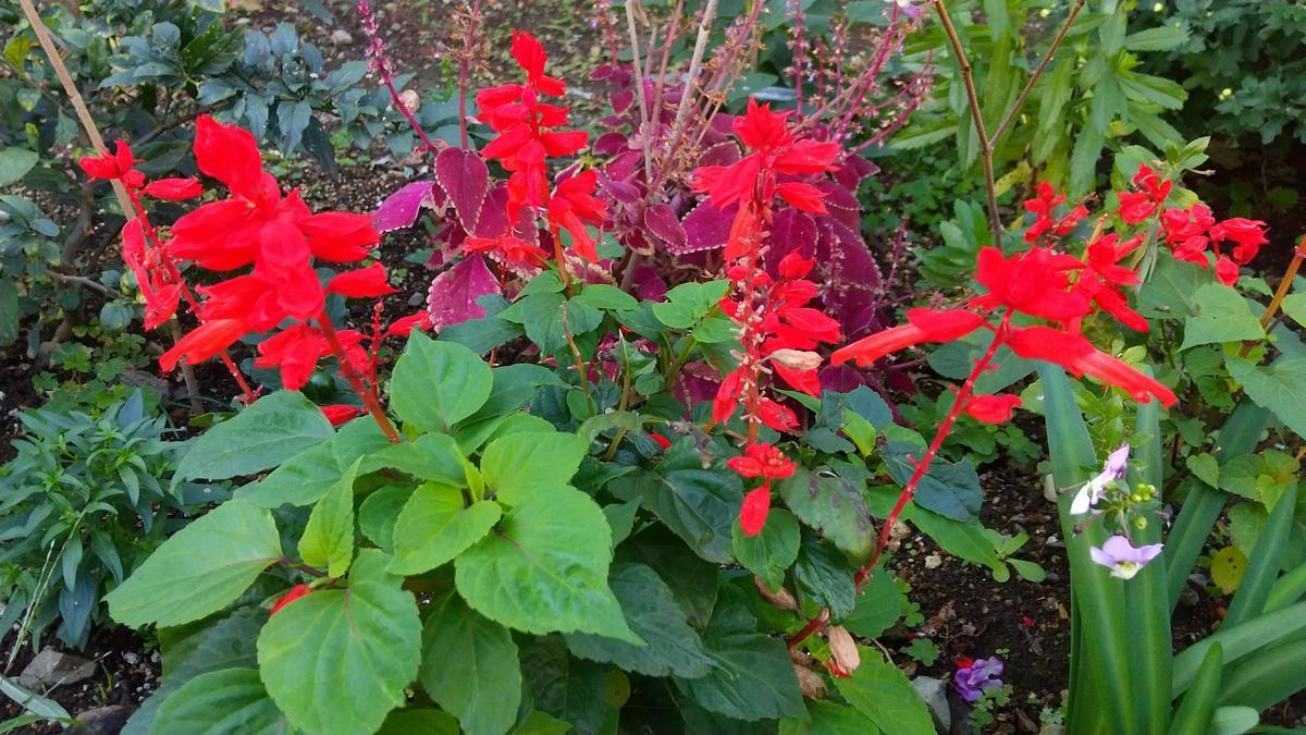 f:id:genta-san:20211028174538j:plain