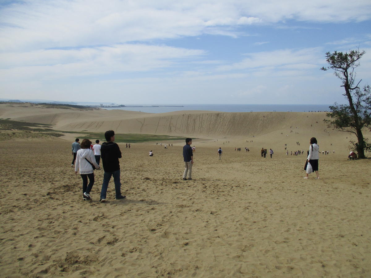 f:id:genta-san:20211031212317j:plain