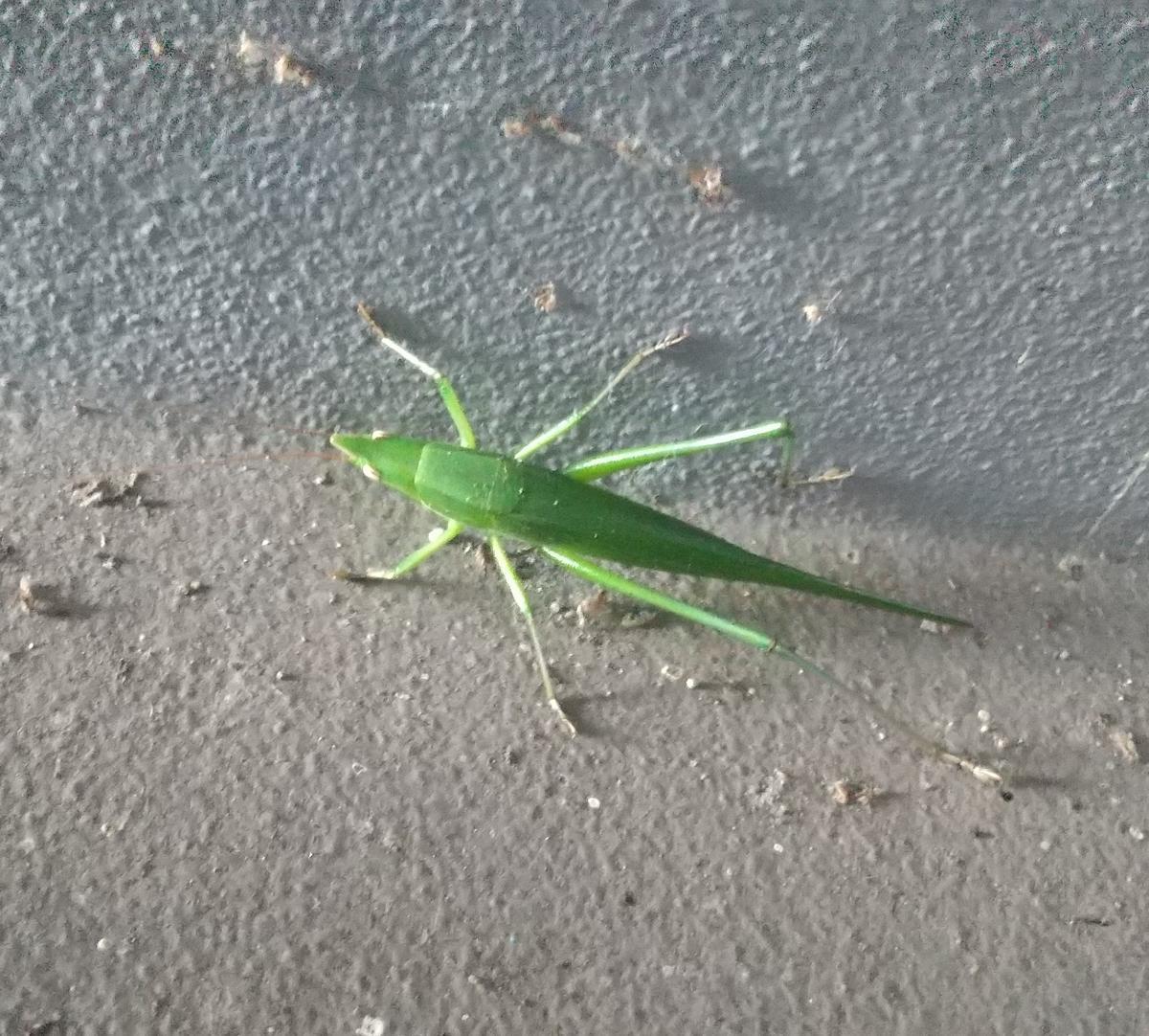 f:id:genta-san:20211104180902j:plain