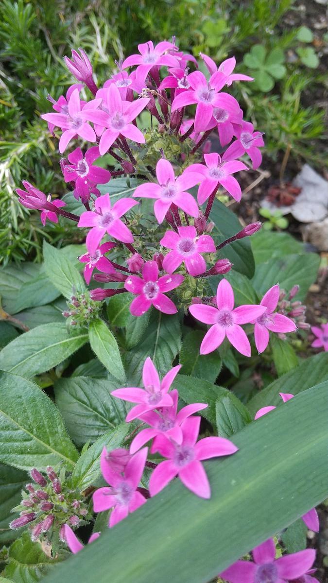 f:id:genta-san:20211104181518j:plain