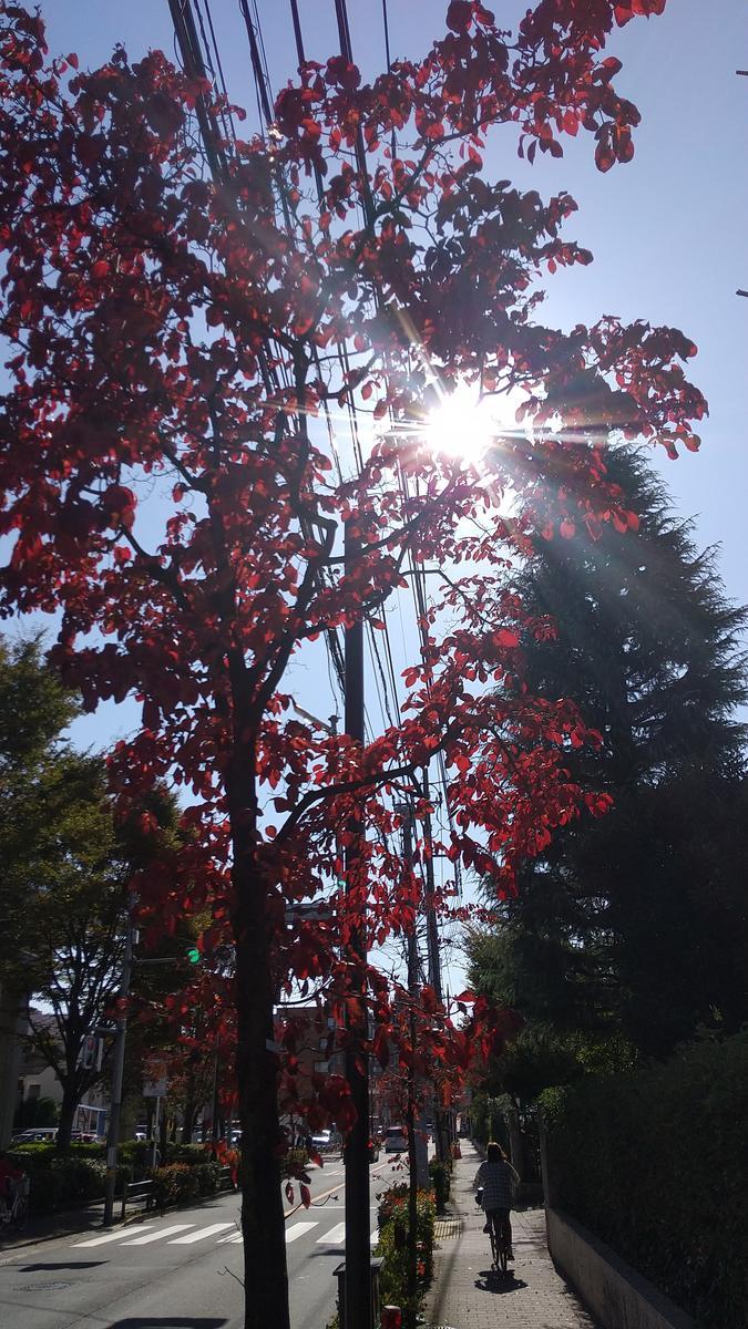 f:id:genta-san:20211104181821j:plain