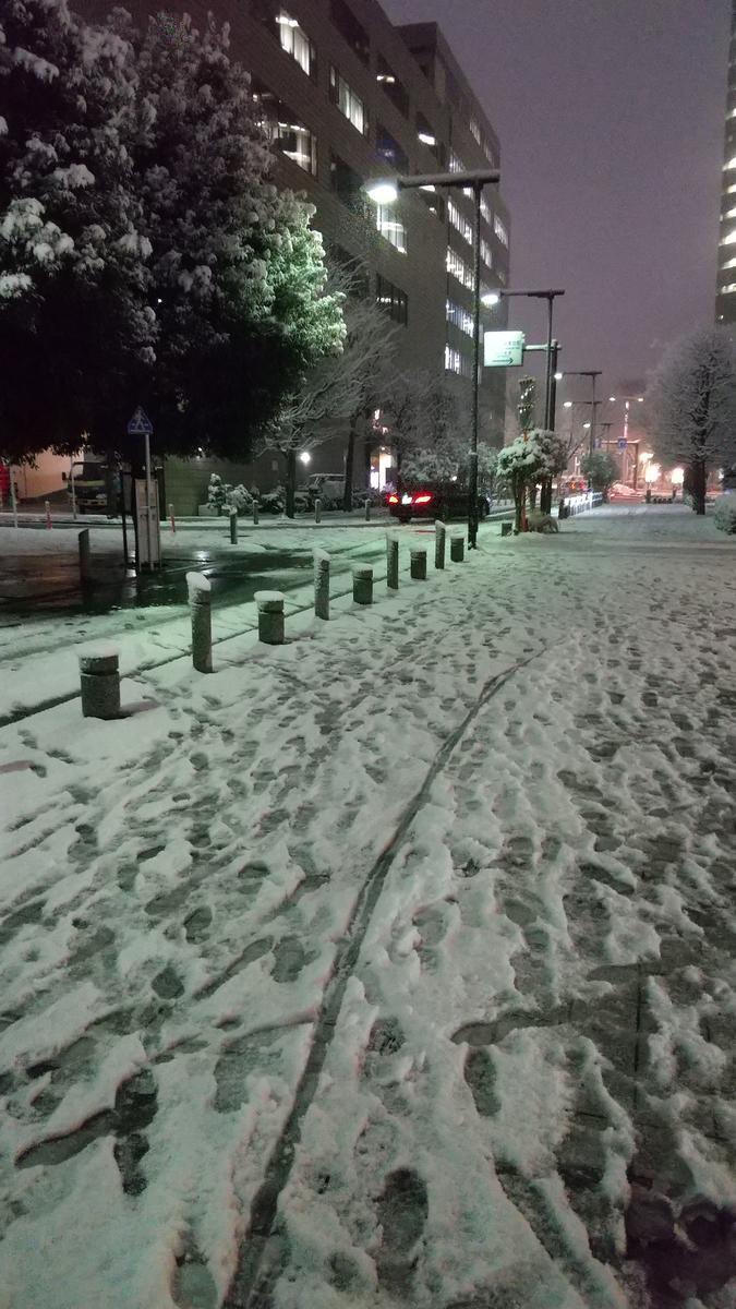今日は初雪でした ４年ぶりの雪景色でした げんさんのほげほげ日記