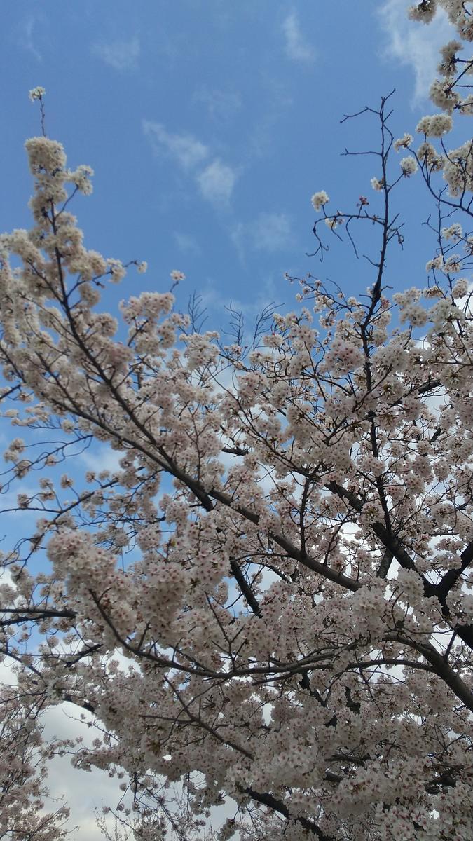 f:id:genta-san:20220330190331j:plain