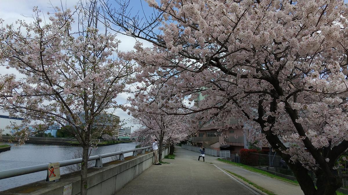 f:id:genta-san:20220330190929j:plain