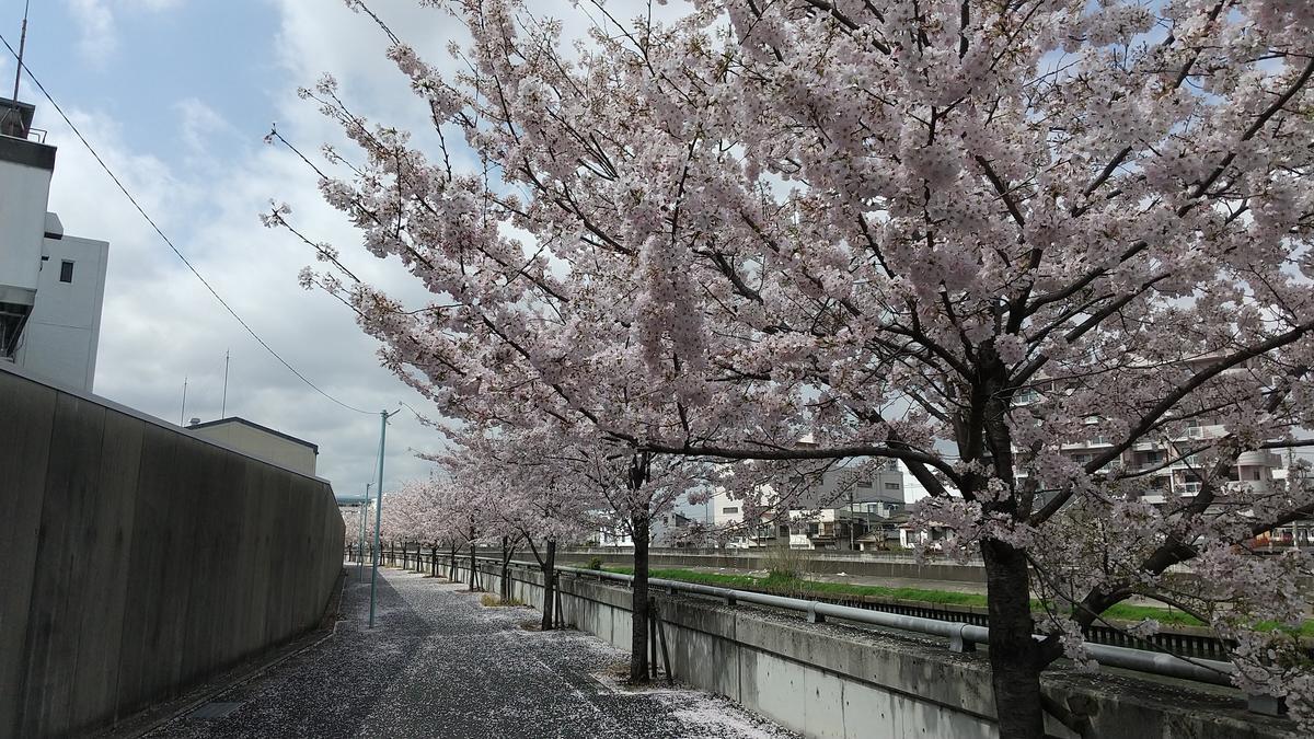 f:id:genta-san:20220330191105j:plain