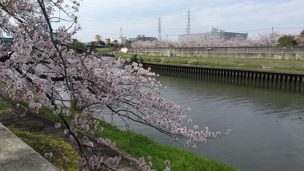 f:id:genta-san:20220402204505j:plain