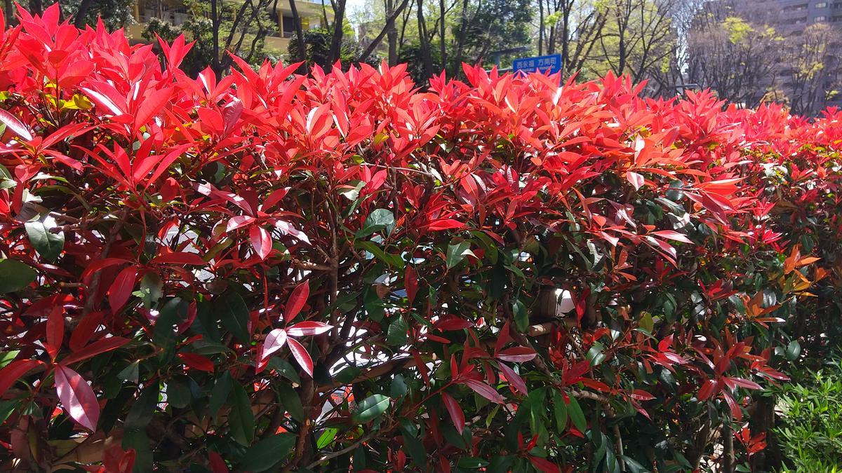 f:id:genta-san:20220406180444j:plain