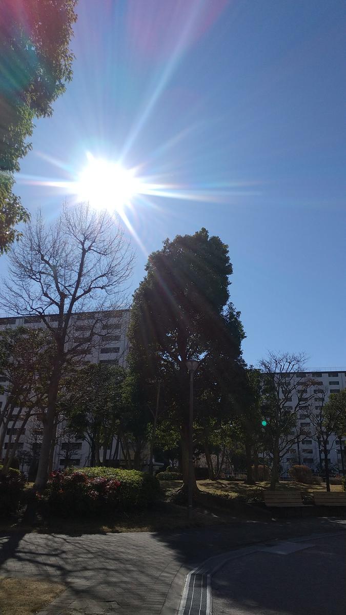 朝からお風呂にざぶぅ～ん…♪♪（のんびり過ごした一日でした） - げんさんのほげほげ日記
