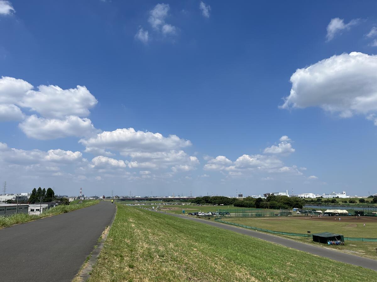 荒川の土手へ…（ブログを長く続けるコツとは…） - げんさんのほげほげ日記