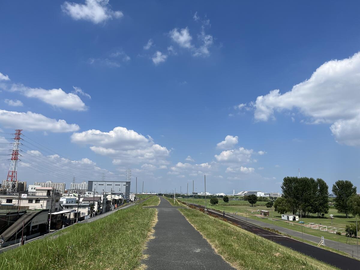 荒川の土手へ…（ブログを長く続けるコツとは…） - げんさんのほげほげ日記