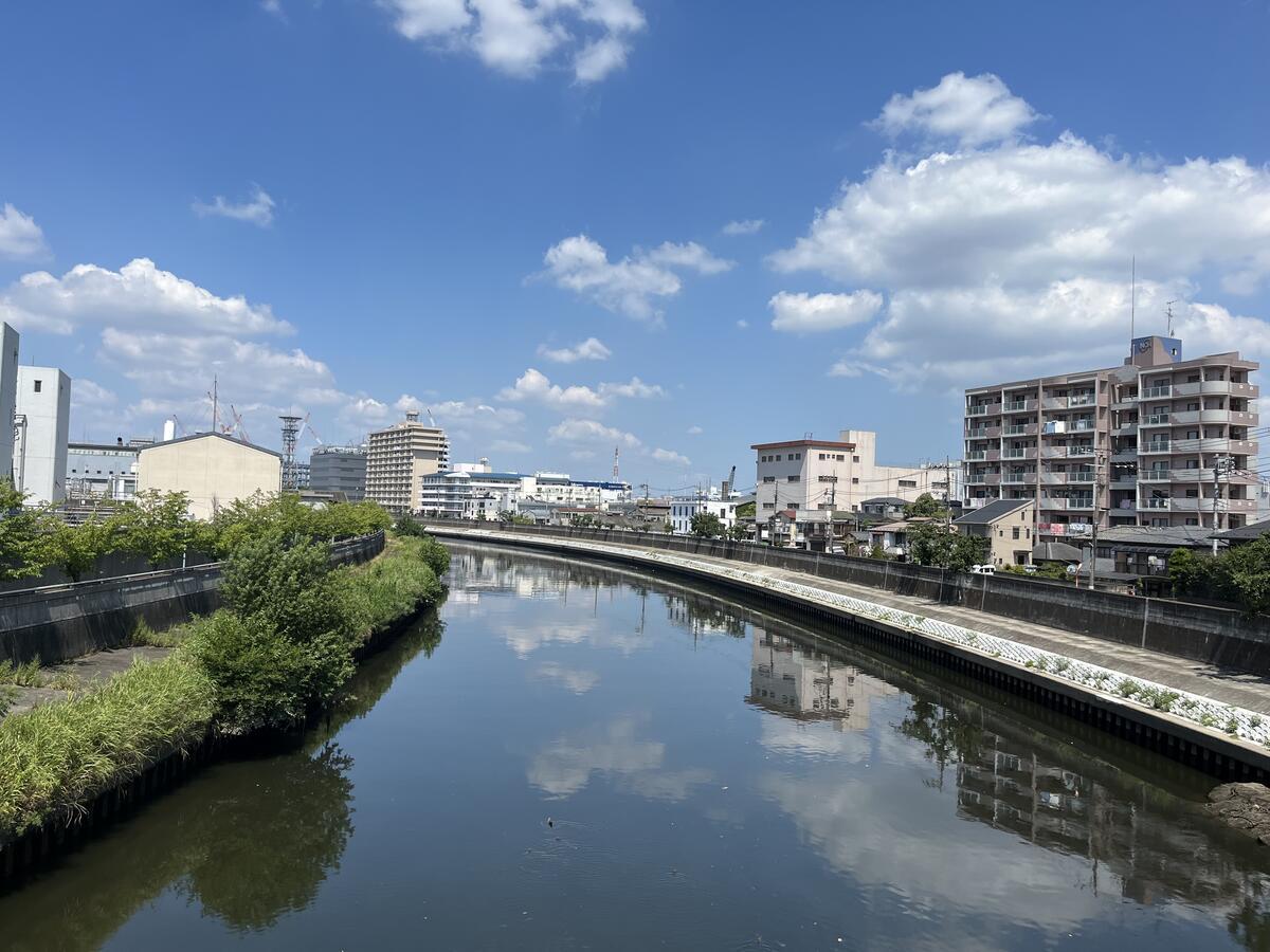 荒川の土手へ…（ブログを長く続けるコツとは…） - げんさんのほげほげ日記