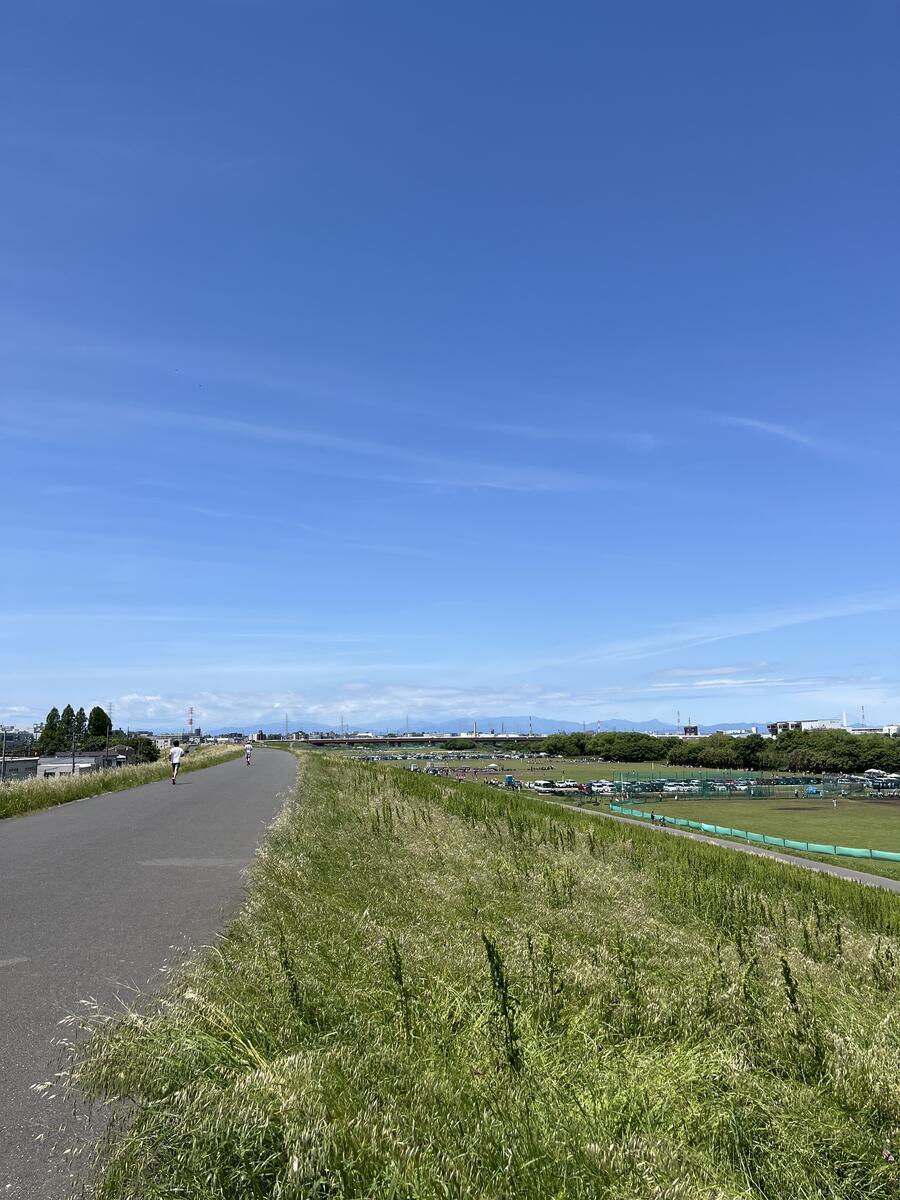 晴れて穏やかな日曜日でした(ジムへ!荒川の土手へGO!!) - げんさんのほげほげ日記