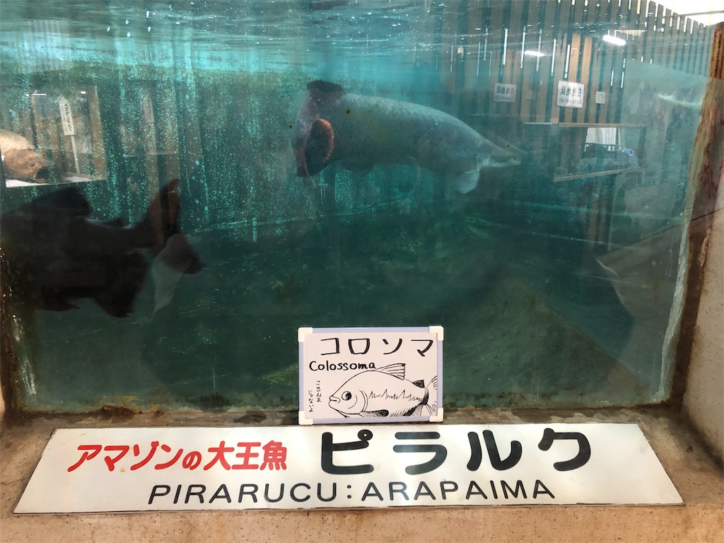 f:id:genzaburou13:20181214192918j:image f:id:genzaburou13:20181214192918j:image