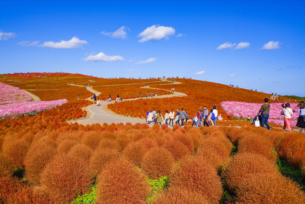 f:id:geo-koshi:20201103143341j:image