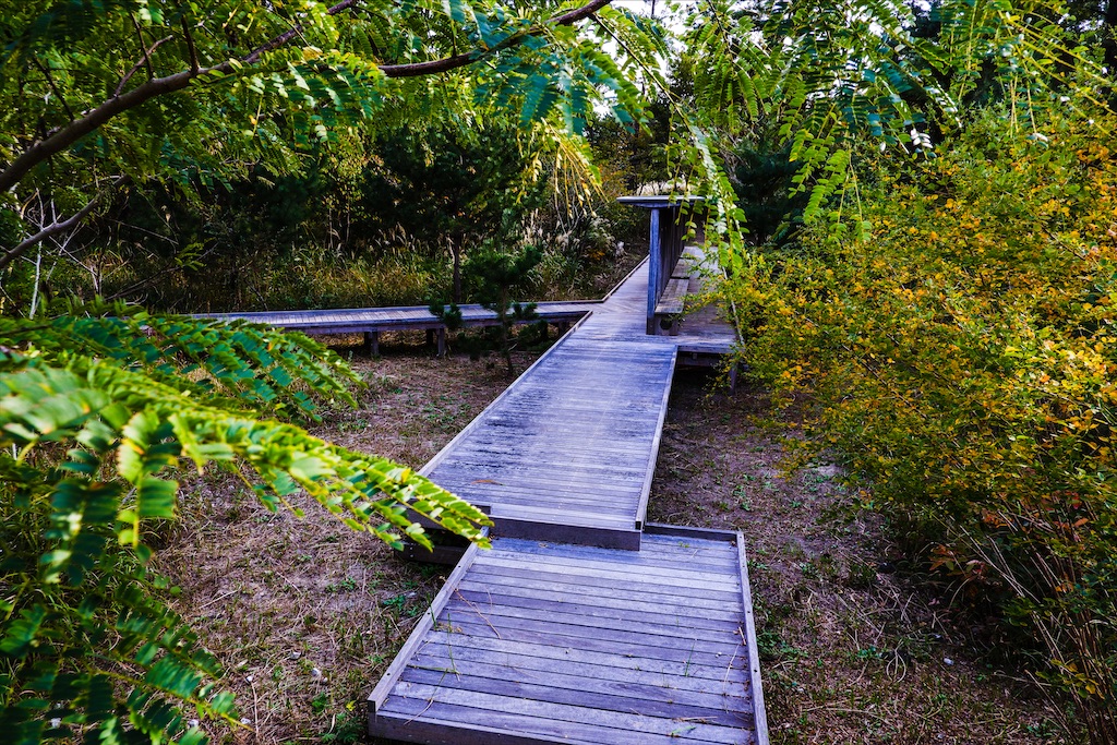 f:id:geo-koshi:20201103143406j:image