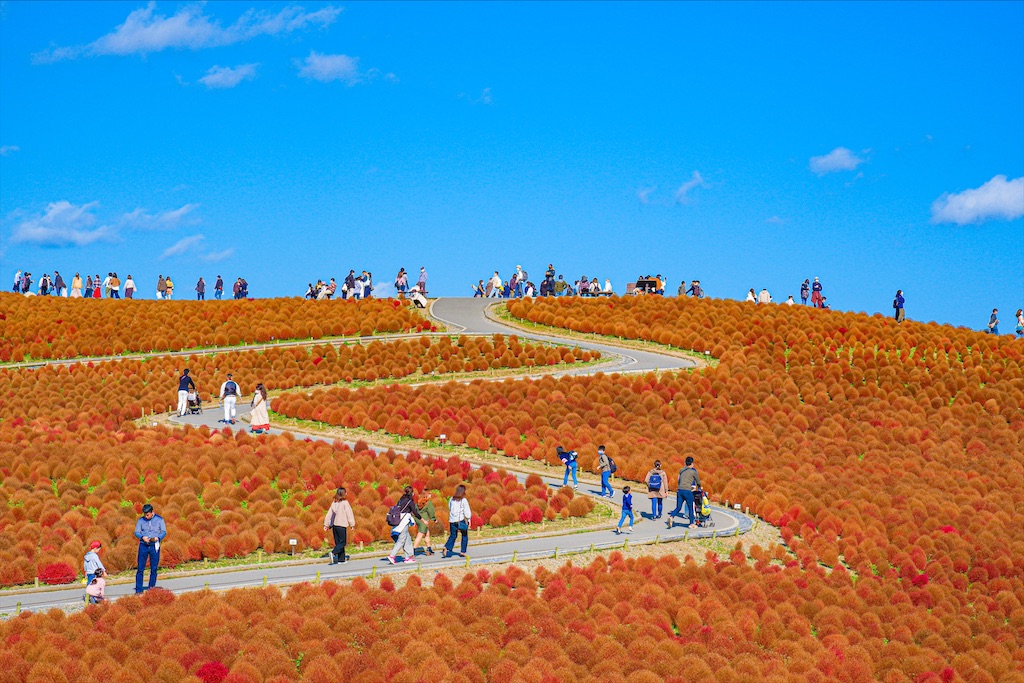 f:id:geo-koshi:20201103143410j:image