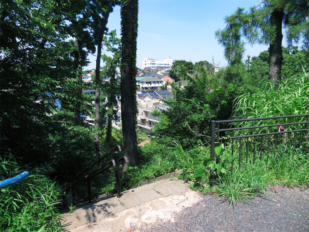 f:id:geo-koshi:20240806060406j:image