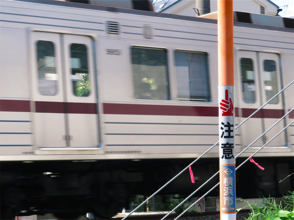f:id:geo-koshi:20240806060559j:image