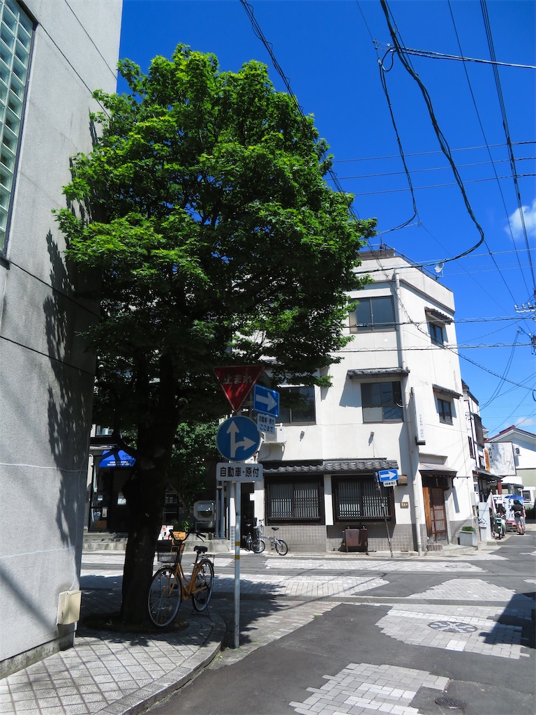 f:id:geo-koshi:20240823193636j:image