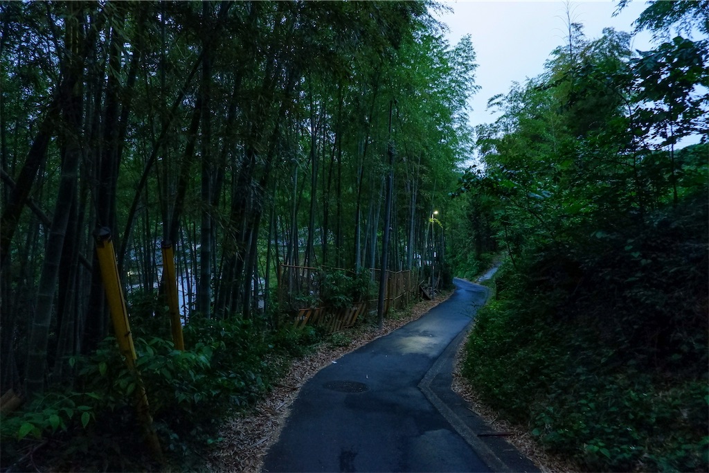 f:id:geo-koshi:20250524215830j:image