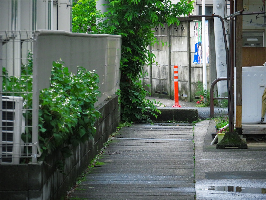 f:id:geo-koshi:20250608124812j:image