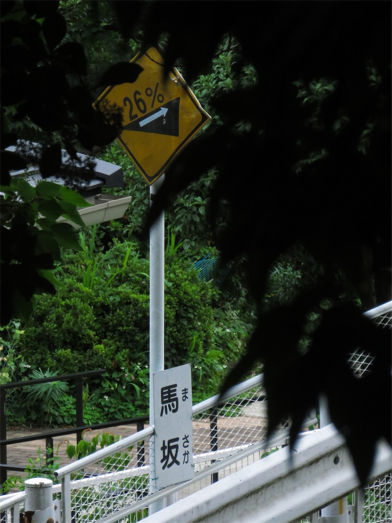 f:id:geo-koshi:20250608124827j:image