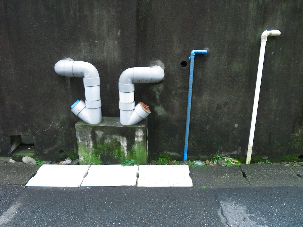 f:id:geo-koshi:20250608124909j:image