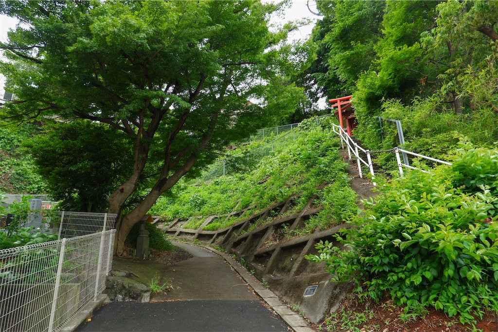 f:id:geo-koshi:20250608124949j:image